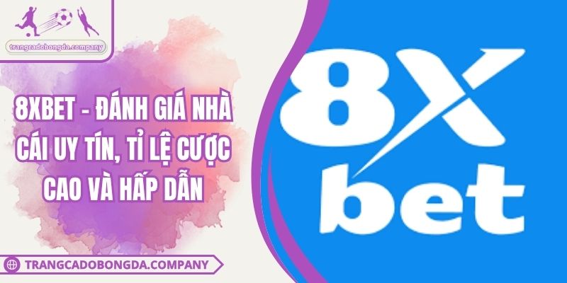 8XBET - Đánh Giá Nhà Cái Uy Tín, Tỉ Lệ Cược Cao Và Hấp Dẫn