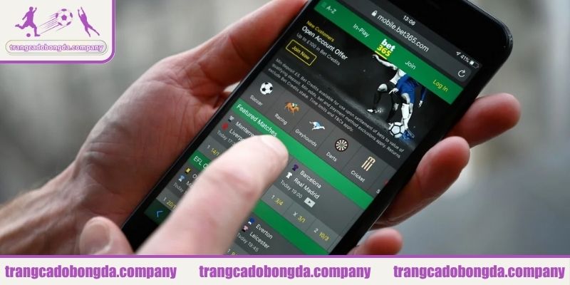 Tổng quan về nhà cái cá cược BET365