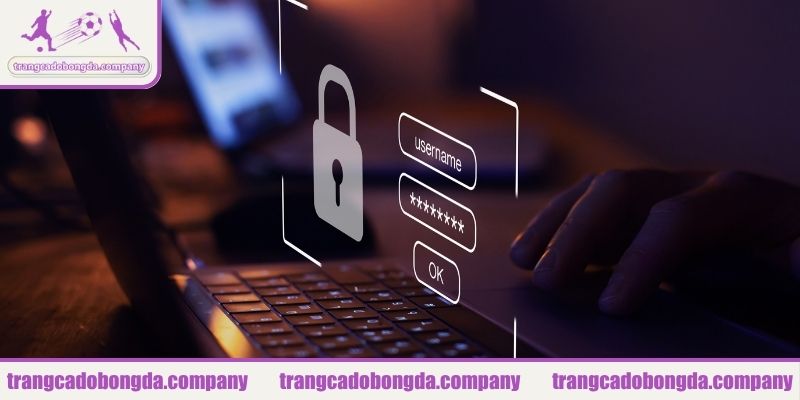 Cách thức thu thập dữ liệu theo chính sách bảo mật