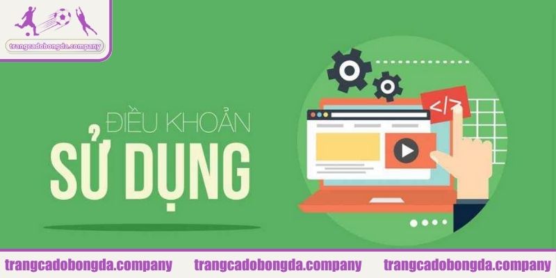 Cam kết về quyền riêng tư theo điều khoản sử dụng