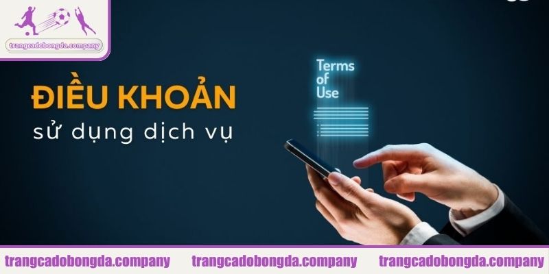 Quyền hạn và trách nhiệm người dùng trong điều khoản