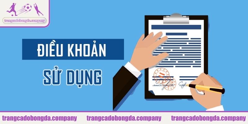 Điều khoản sử dụng trên trangcadobongda.company