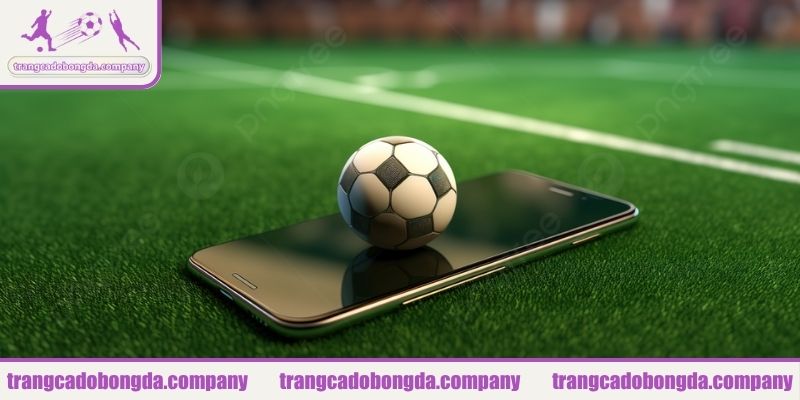 Giá trị cốt lõi của trang web trangcadobongda.company