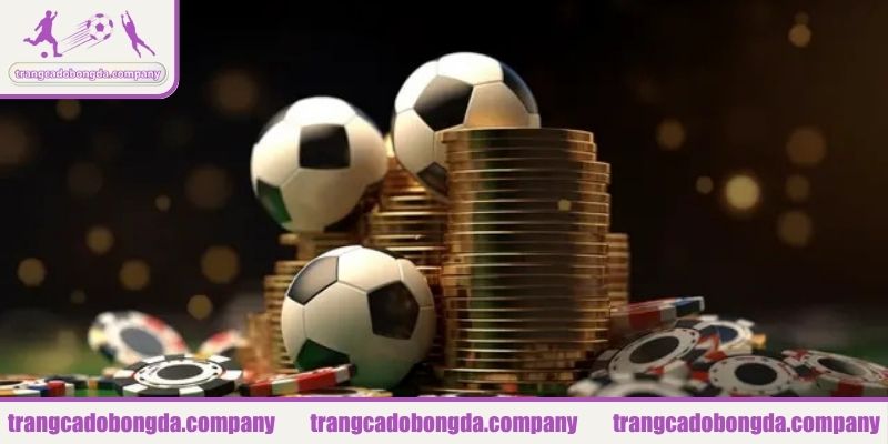 Tầm nhìn của chúng tôi