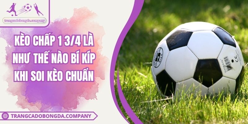Kèo Chấp 1 3/4 Là Như Thế Nào Bí Kíp Khi Soi Kèo Chuẩn