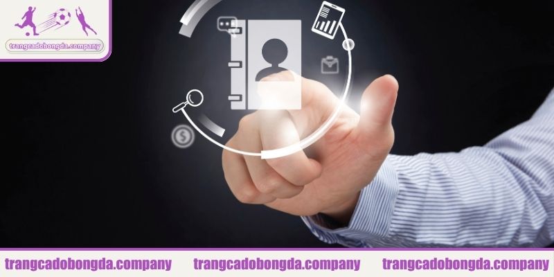 Khi nào nên liên hệ với trangcadobongda.company?