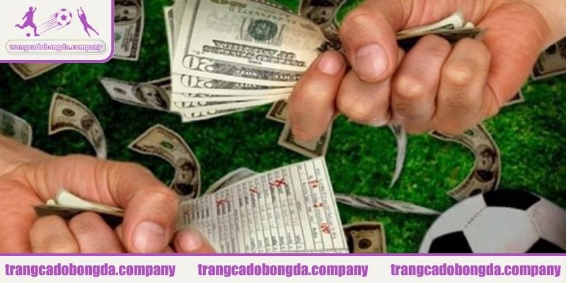 Đánh giá chi tiết từng chương trình thưởng