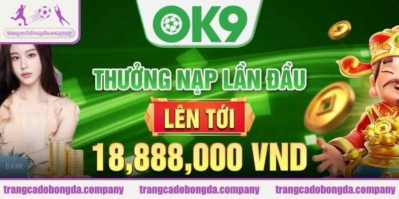 Tìm hiểu về thương hiệu cá cược OK9