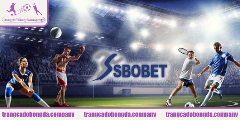 Khám phá các sảnh game đa dạng tại SBOBET cập nhật 2025