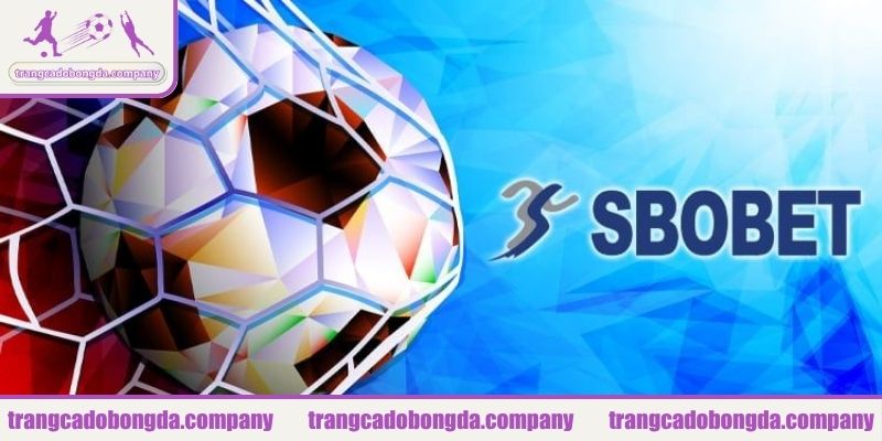 Sức hút từ những lợi thế vượt trội