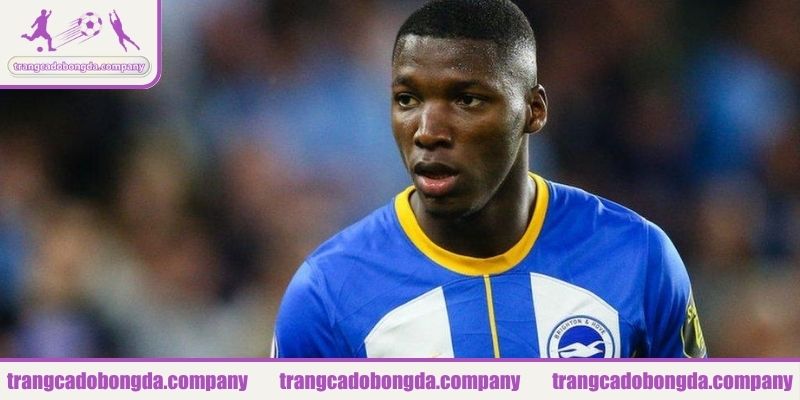 Tiền vệ phòng ngự hay nhất Moise Caicedo
