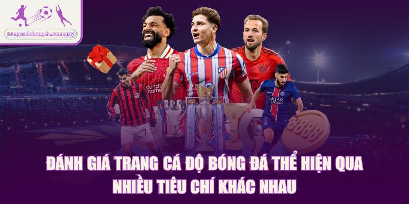Đánh giá trang cá độ bóng đá thể hiện qua nhiều tiêu chí khác nhau