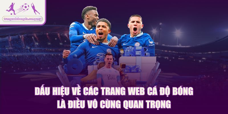Dấu hiệu về các trang web cá độ bóng lừa đảo là điều vô cùng quan trọng