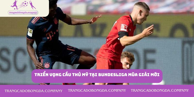 Triển Vọng Cầu Thủ Mỹ Tại Bundesliga Mùa Giải Mới